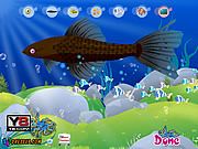 Флеш игра онлайн Аквариумных рыбок Декор
